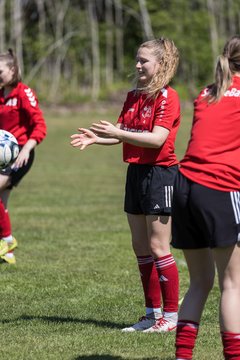 Bild 44 - F SG NieBar - IF Stjernen Flensborg : Ergebnis: 2:0